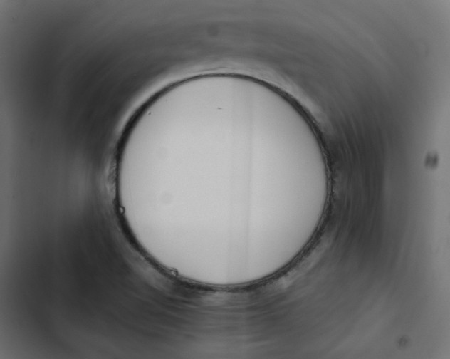 X0000103331510200809261148