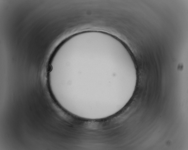 X0000103331511200809261148