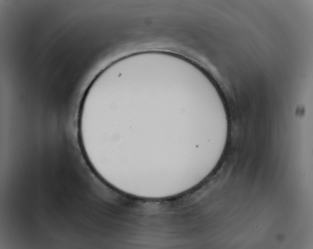 X0000103331512200809261148