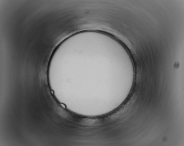 X0000103331513200809261148