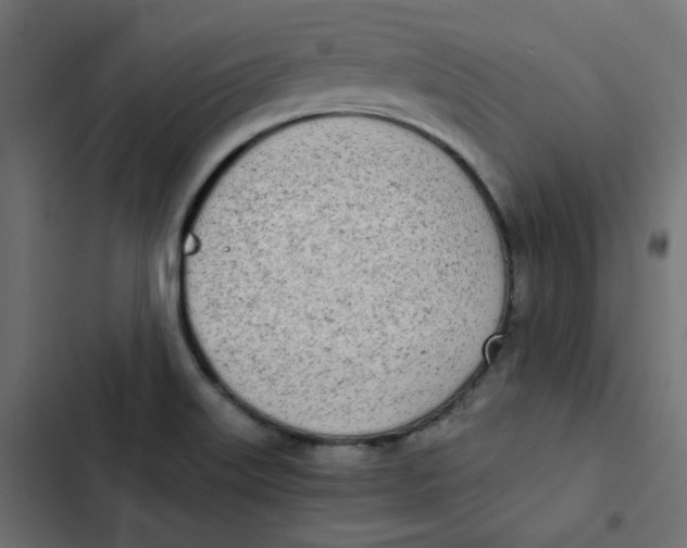 X0000103331515200809261148