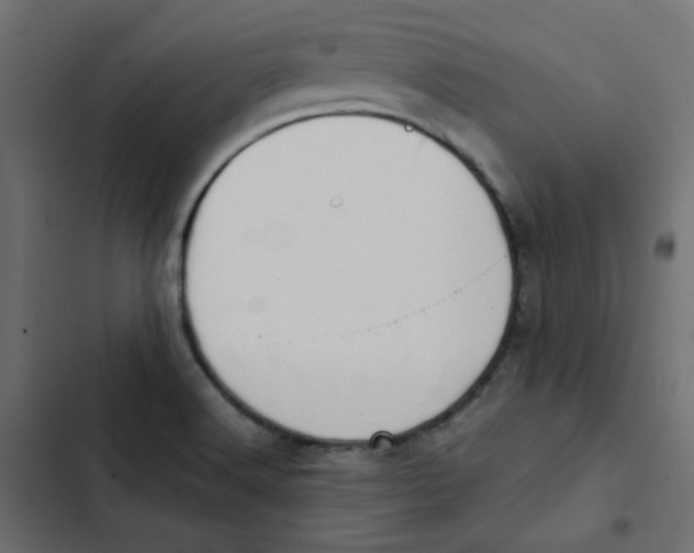 X0000103331516200809261148