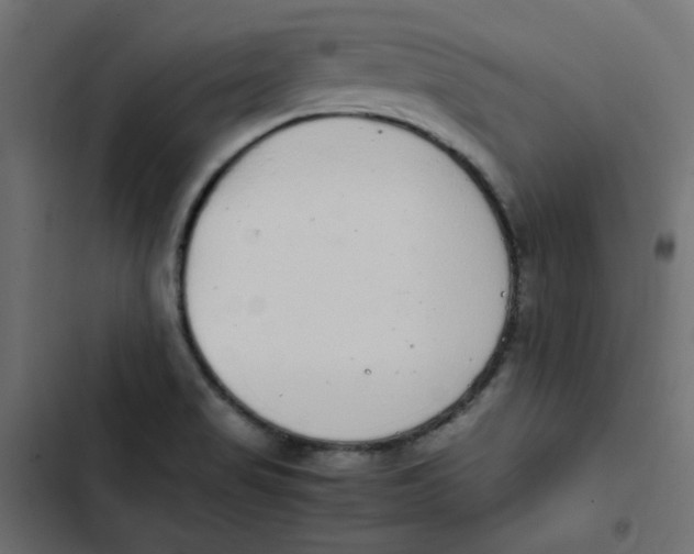 X0000103331517200809261148