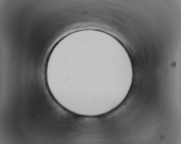 X0000103331518200809261148