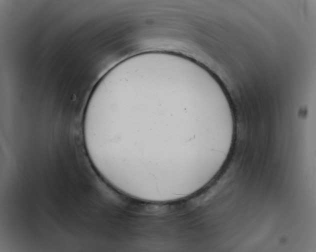 X0000103331521200809261148