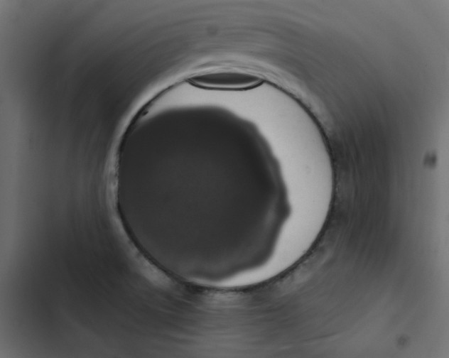 X0000103331522200809261148