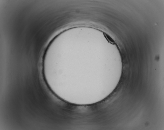 X0000103331523200809261148