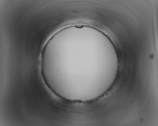 X0000103331524200809261148