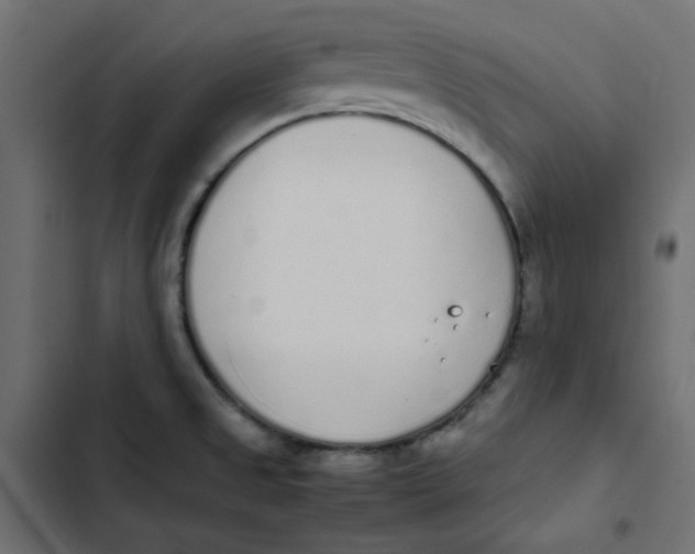 X0000103331525200809261148