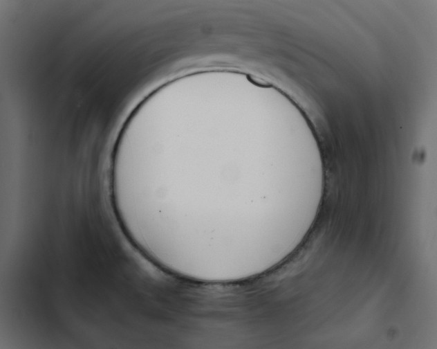 X0000103331527200809261148