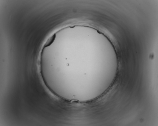 X0000103331528200809261148