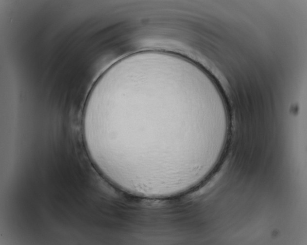 X0000103331529200809261148