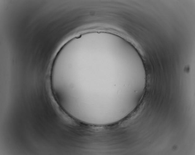 X0000103331530200809261148