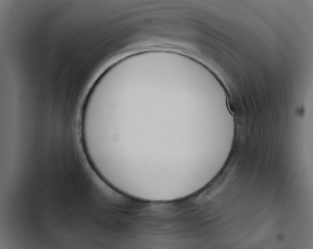 X0000103331531200809261149