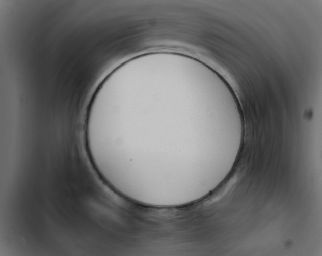 X0000103331533200809261149