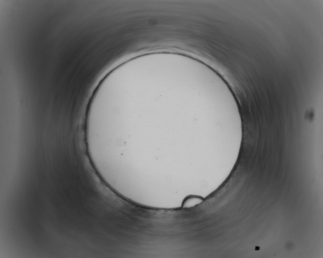 X0000103331534200809261149