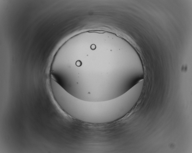 X0000103331536200809261149