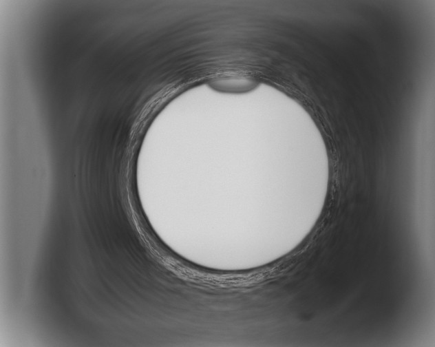 X0000103330001200810061024