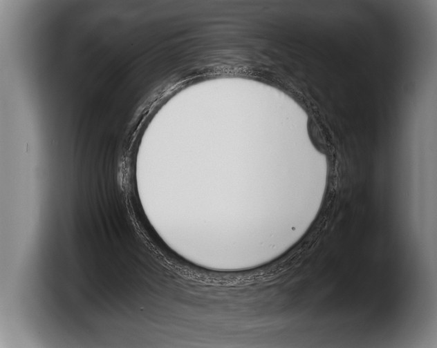 X0000103330002200810061024