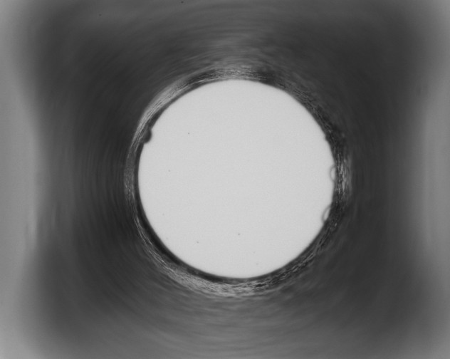 X0000103330004200810061024