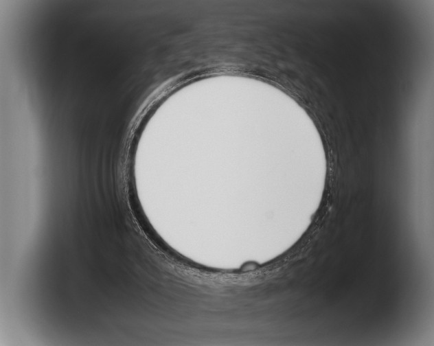 X0000103330007200810061024