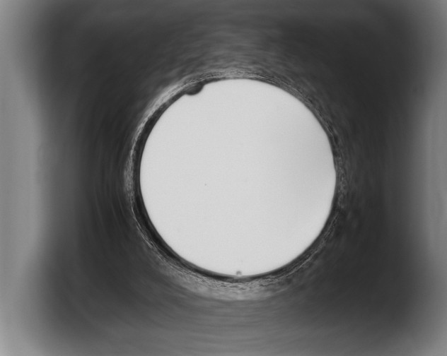 X0000103330008200810061024