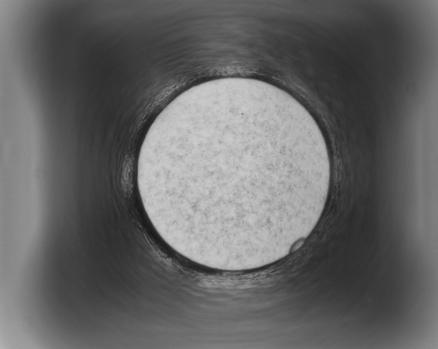 X0000103330009200810061024