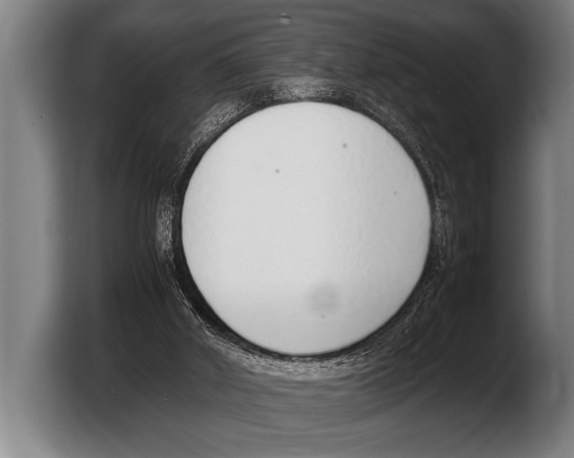 X0000103330010200810061024