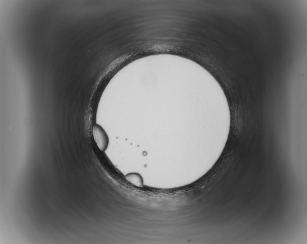 X0000103330016200810061024