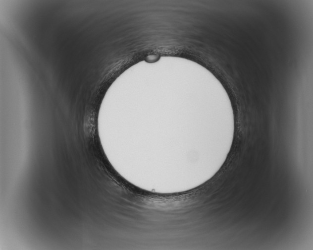 X0000103330017200810061024