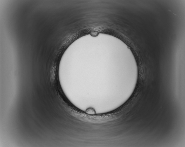 X0000103330018200810061024