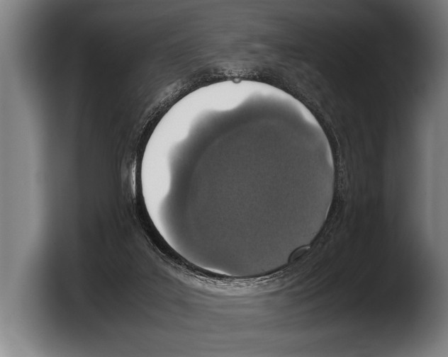 X0000103330019200810061024