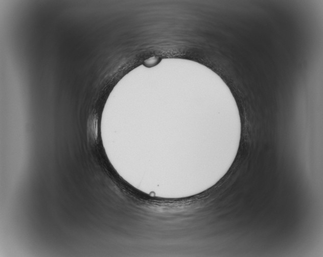 X0000103330021200810061024