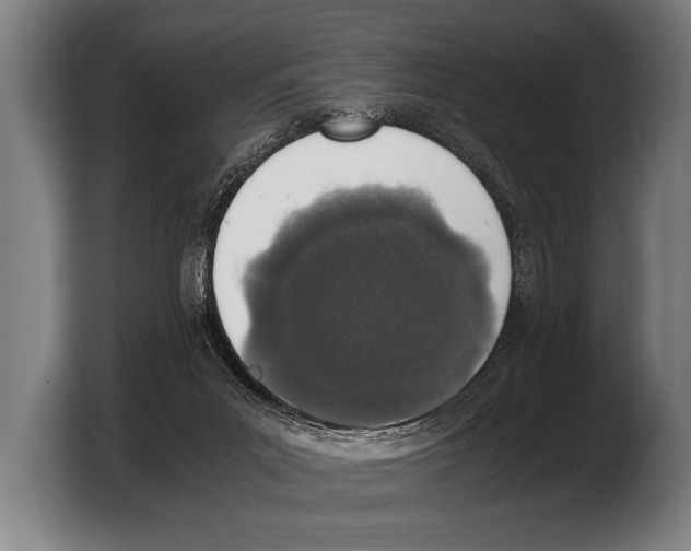 X0000103330023200810061023