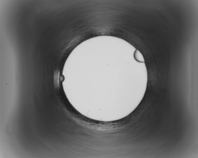 X0000103330024200810061023