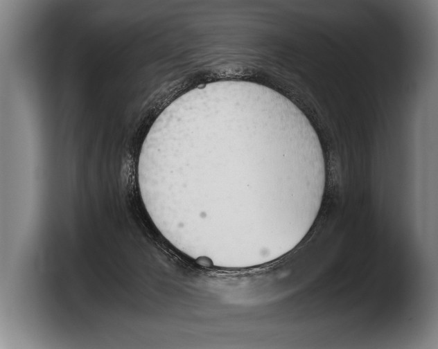 X0000103330029200810061023