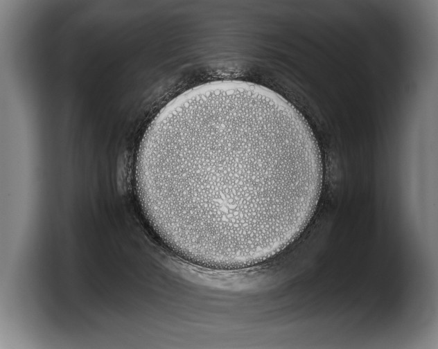 X0000103330030200810061023