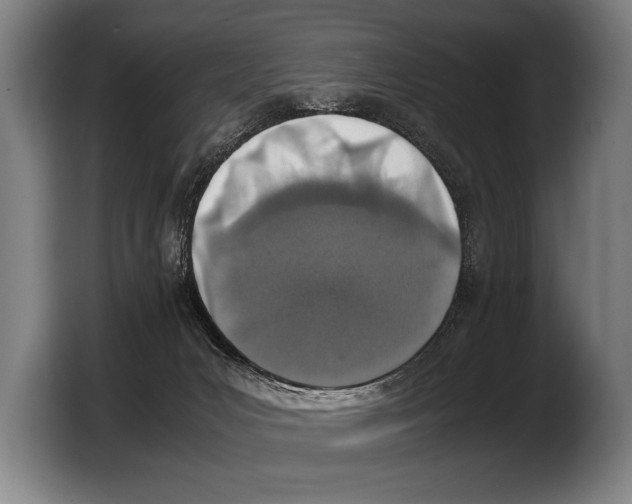 X0000103330031200810061023