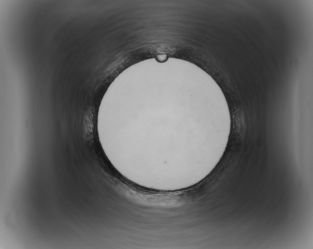 X0000103330032200810061023