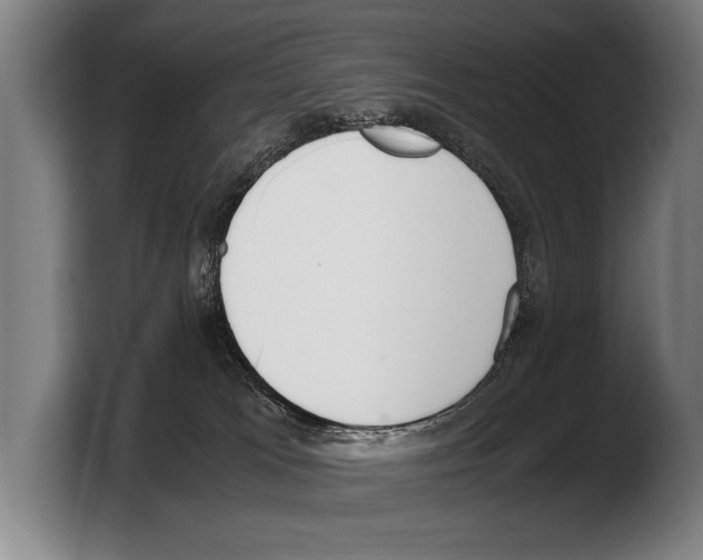 X0000103330037200810061023