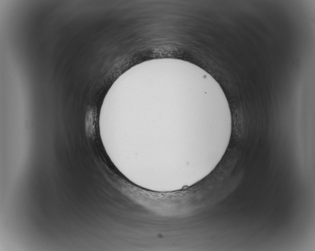 X0000103330038200810061023