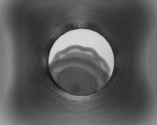 X0000103330039200810061023