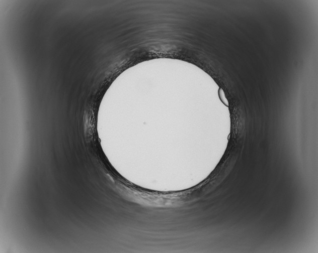 X0000103330040200810061023