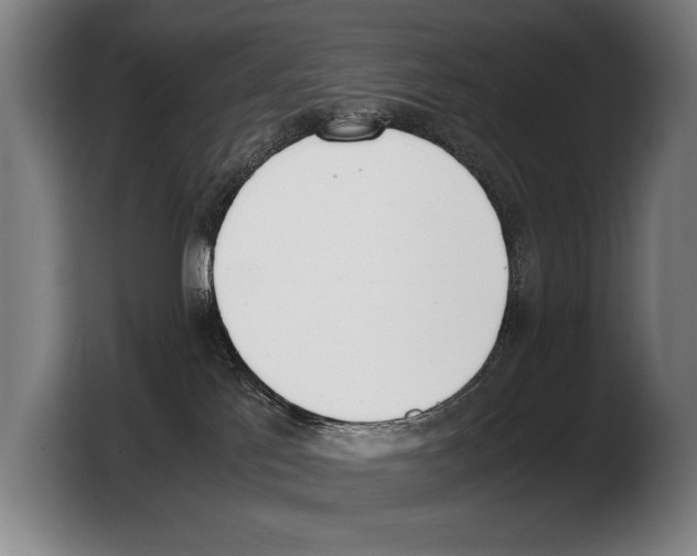 X0000103330041200810061023