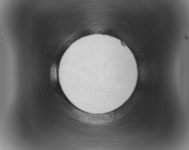 X0000103330042200810061023