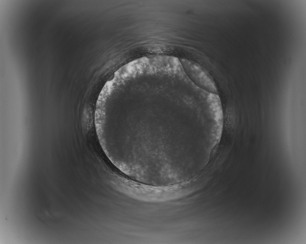 X0000103330043200810061023