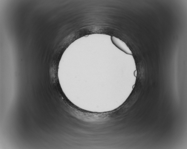 X0000103330044200810061023