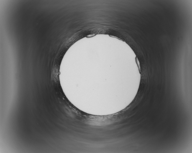 X0000103330045200810061023