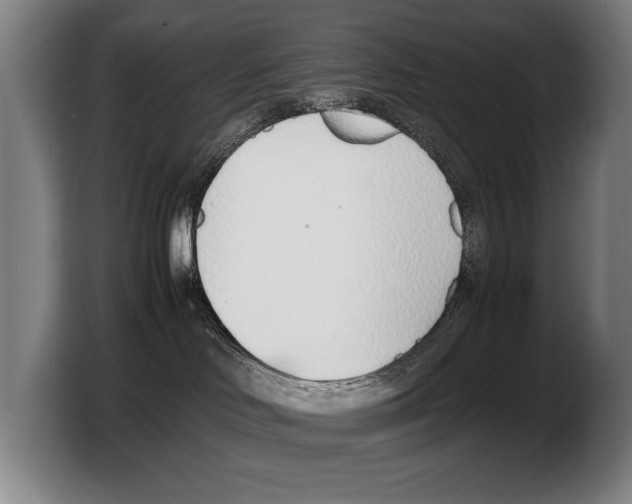 X0000103330046200810061023