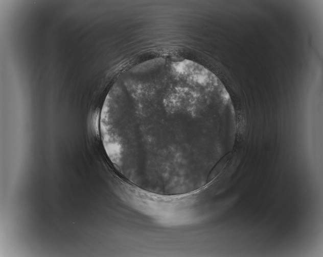 X0000103330047200810061023